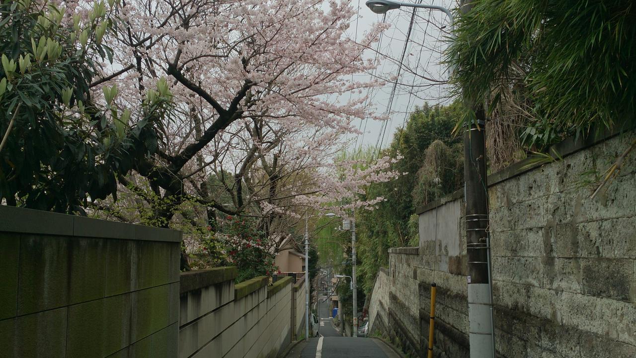 Namio 201 公寓 东京