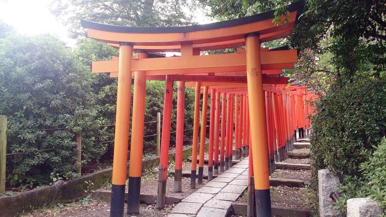 Namio 201 * 東京都